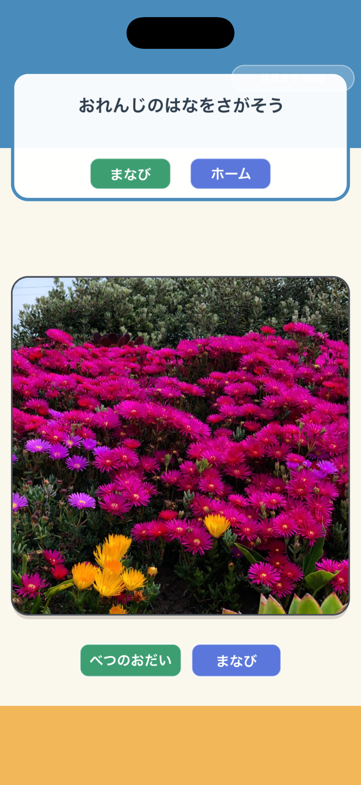 写真を使った学習問題の画面